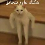 ميدوm
