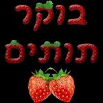 💗 אוהבת 💗 