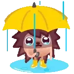 hola