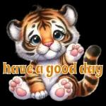 Cute raccoon sticker