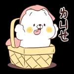 猫咪朋友笑一个