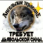 пакет
