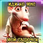мой1 