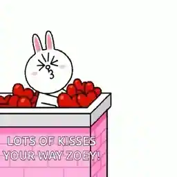 xKvo5q