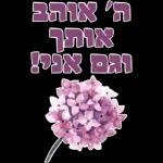 רוחמה 2