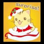 星貓寶寶♪ 聖誕節 - 繁體中文版