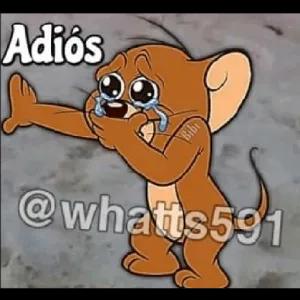 qfnw7yw