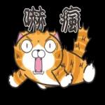 白爛貓☆第１３彈☆ 