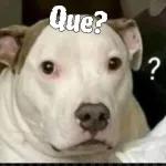 ¿tás ahí?