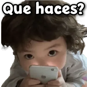 8o6y376