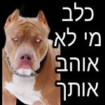 שישי