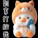 湯圓鴨5：貓貓頭套