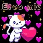 Kitty 