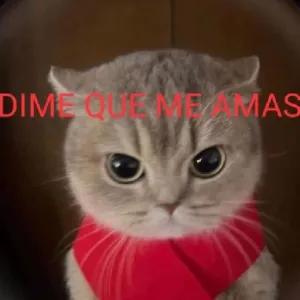 VxAamP
