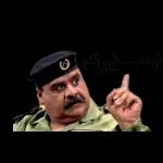 ه مساء العبة لأغلى الأحبة
Zaja 203