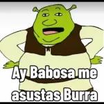 Ay Babosa me asustas Burra