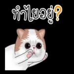 ท้อบ้าง เหนื่อยบ้าง