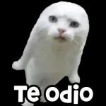 dios mio como es posible este suceso