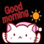 萌宠sticker 02233🥰