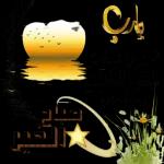 شوشو ٦٦