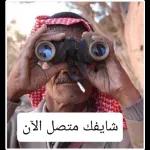 جديد 