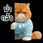 แมวขี้โมโหในชุดนอนสีอ่อน