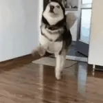 Saludos a los trabajadores, lunes duro