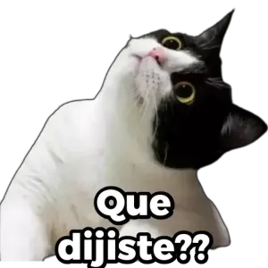 cCEdd9