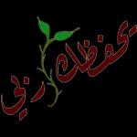 صفظ الله يا غاليه 