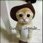 Buenos Días