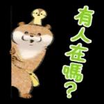小玩笑小水獺--好耶！