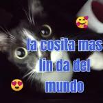 la cosita mas linda del mundo