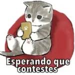 *se preocupa*