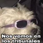 YA SE ENOJO LA NIÑA?