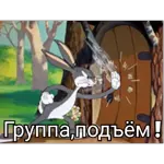 роллллллоог
