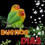 paty5