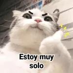 Pa tu culo mamaguevo