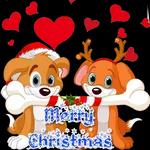 wish you Merry Christmas