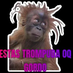 ESTAS TROMPUDA OQ GORDO - getsticker.com