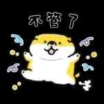 SHIBANBAN微笑柴犬-寶寶逃避現實