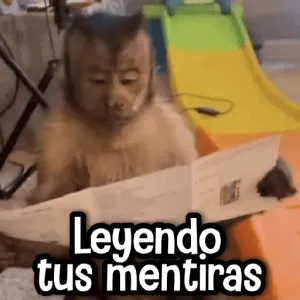                              Changuitos Reacciones! 🐵🐒TOP STICKERS - getsticker.com