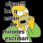 MI PAQUETE 50