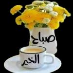 ملصقات 