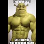 weird shrek memes