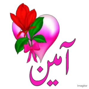 5AB8Sj