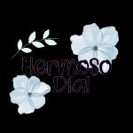 HERMOSO DÍA