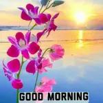 السلام علیکم!
 