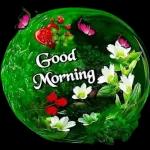 hey my darling😘😘😘