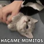 Encuerate