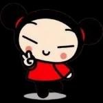 pucca 
